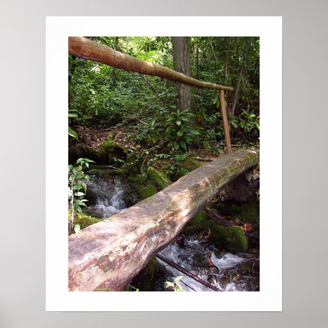 Rustic Log Bridge Poster (Front)