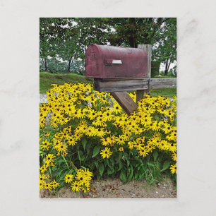 Rustic Mailbox Art Postcard