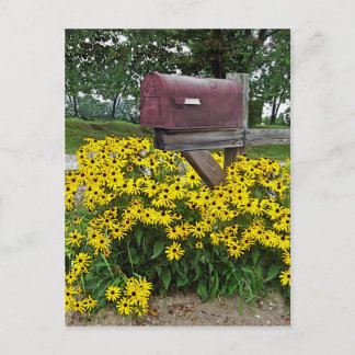 Rustic Mailbox Art Postcard