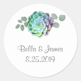 Rustic Minimalist Green Succulents Round Stickers