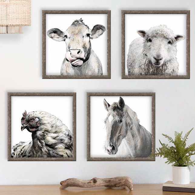 Rustic Modern Country Farmhouse Barnyard Animals (Creator Uploaded)