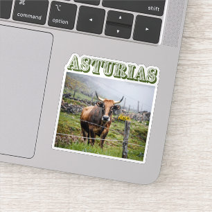 Rustic mountain cow, Asturias, Spain travel
