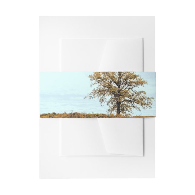 Rustic Oak Tree Autumn Wedding Invitation Belly Band (Front Example)