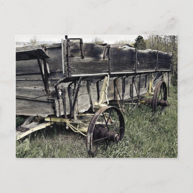 Rustic Old Antique Farm Wagon Postcard (Front)