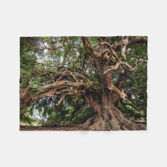 Rustic Old Olive Tree Fleece Blanket (Front (Horizontal))