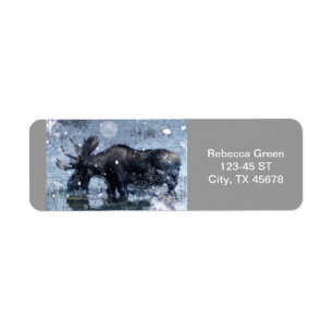 Rustic outdoorsman wilderness wildlife bull moose