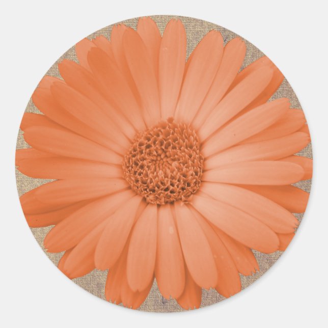 Rustic Peach Daisy Flower Round Stickers Seals (Front)