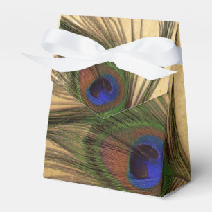 Rustic Peacock Feather wedding favour box