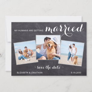 Rustic Pet Dog Wedding Personalised 3 Photo Save The Date