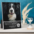 Rustic Pet Forever in Our Hearts | Photo Keepsake