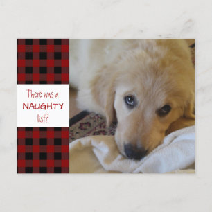 Rustic Pet NAUGHTY LIST Red Buffalo Plaid Funny Holiday Postcard