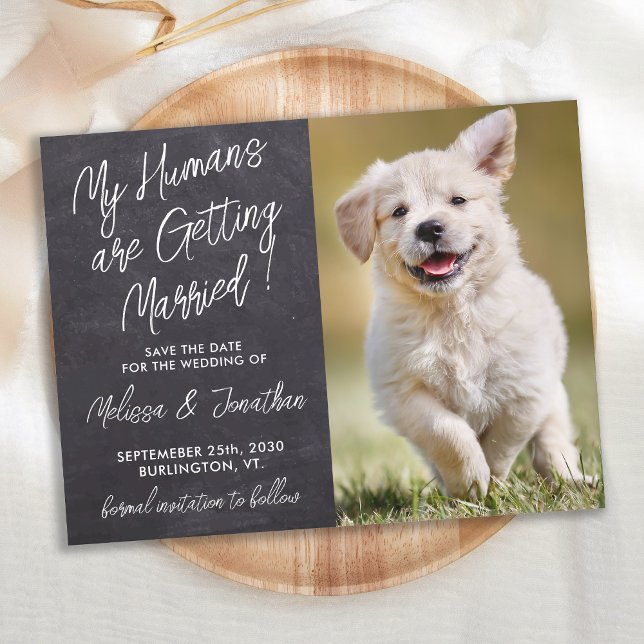 Rustic Pet Wedding Custom Photo Dog Save The Date  Announcement Postcard (Creator Uploaded)