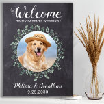 Rustic Pet Wedding Welcome Personalised Dog Photo Poster<br><div class="desc">Welcome ~ To My Parents Weddings! Include your best dog, best cat and any pet in your wedding with his own pet wedding welcome sign for your guests. Perfect for dog lovers, makes the perfect wedding dog sign. Simple yet elegant rustic chalkboard slate with eucalyptus leaves. Customise this wedding pet...</div>