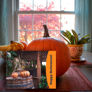 Rustic photo orange pumpink Holiday Postcard