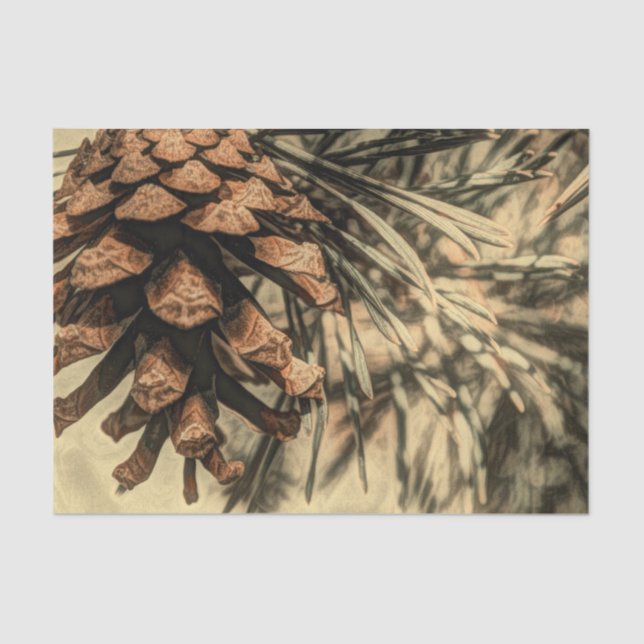 Rustic Pine Cone Design Tissue Paper (Front)