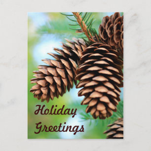 Rustic Pine Cones Postcard