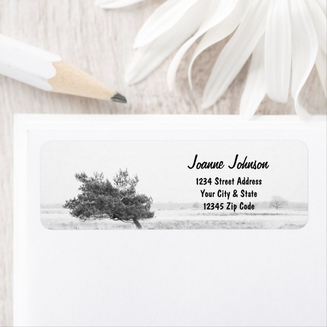 Rustic Pine tree country return address (Insitu)