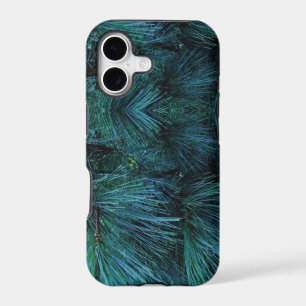 Rustic Pine trees pine forest green conifers