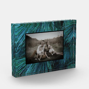 Rustic Pine trees pine forest green evergreen Photo Block