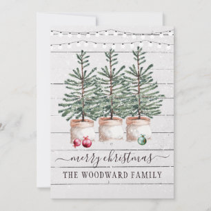 Rustic Pine Trees Snow Christmas Cards