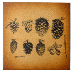 Rustic Pinecones Pine Cone Artwork Antique Design Tile
