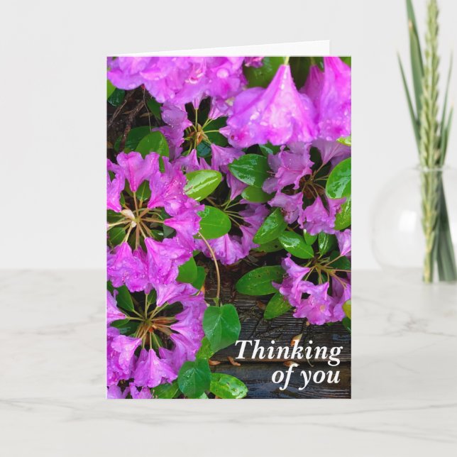 Rustic Pink Azaleas Card (Front)