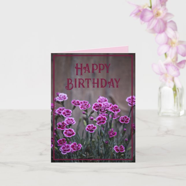 Rustic Pink Dianthus Flowers Birthday Card (Orchid)