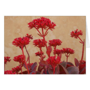 Rustic Pink Plant Card
