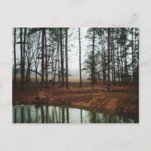 Rustic Pond Postcard