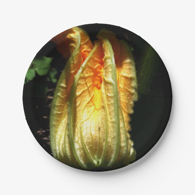 Rustic, Pumpkin Blossom Custom Paper Plates (Front)