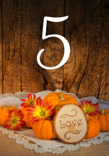 Orange Wedding Table Numbers Zazzle Co Uk