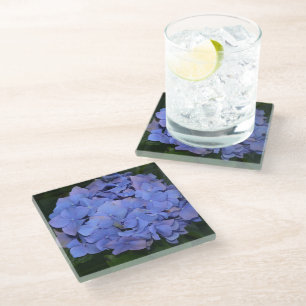 Rustic Purple Hydrangea macrophylla   Glass Coaster