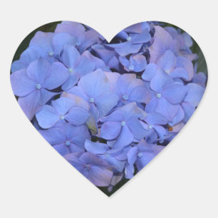 Rustic Purple Hydrangea macrophylla Heart Sticker