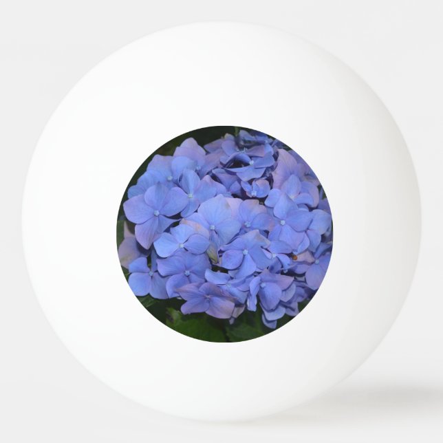Rustic Purple Hydrangea macrophylla  Ping Pong Ball (Front)