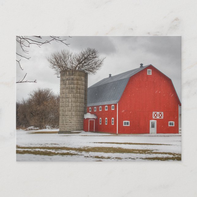 Rustic Red Country Barn  Postcard (Front)