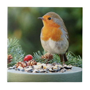 Rustic-Red Robin, Songbird Tile