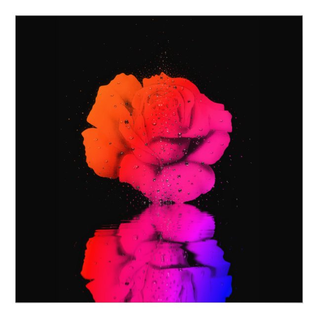 Rustic Red Rose Floral Bloom Water Drop Art Photo Print (Front)