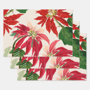Rustic Red Watercolor Poinsettia Floral Greenery  Wrapping Paper Sheet