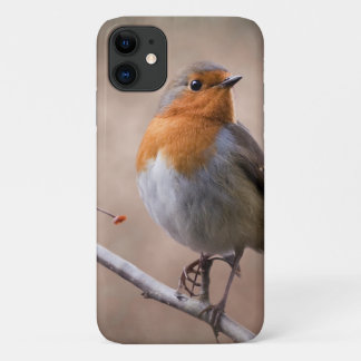 Rustic Robin iPhone 11 Case