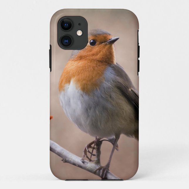 Rustic Robin iPhone 5 Case-Mate Case (Back)