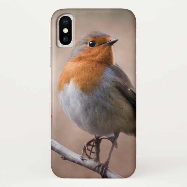Rustic Robin iPhone X Case (Back)