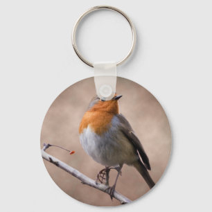 Rustic Robin Keyring