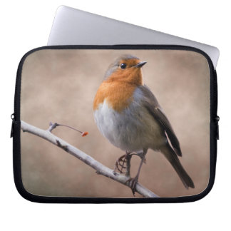 Rustic Robin Laptop Sleeve
