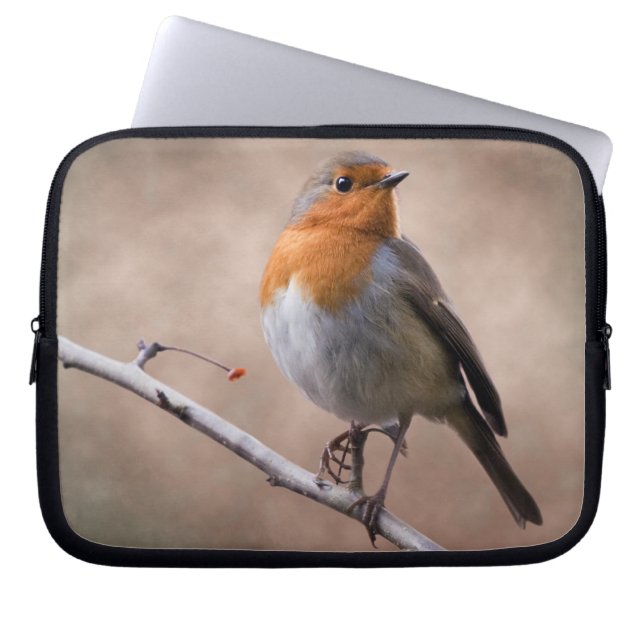 Rustic Robin Laptop Sleeve (Front)