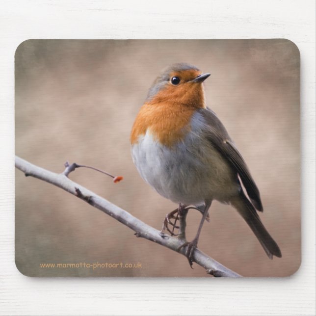 Rustic Robin Mousemat (Front)
