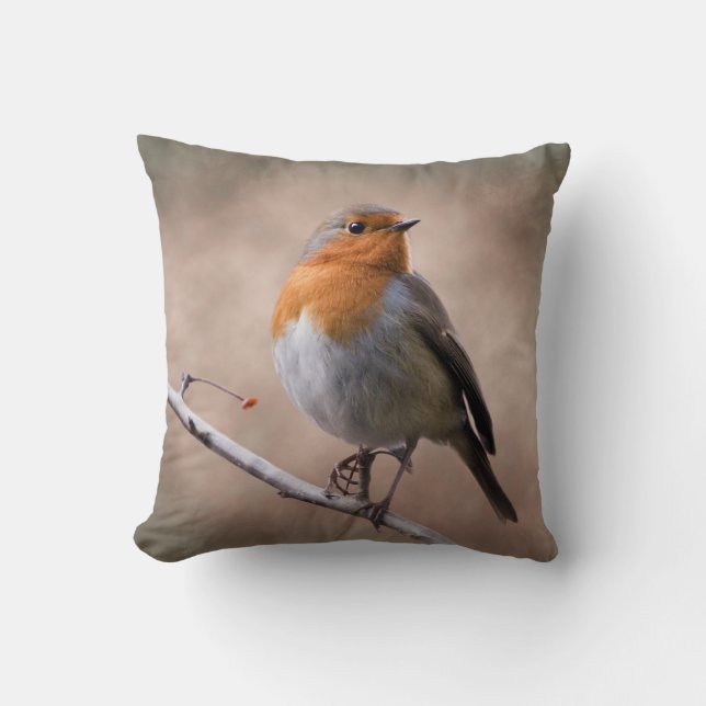 Rustic Robin Pillow (Front)