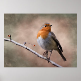 Rustic Robin Print