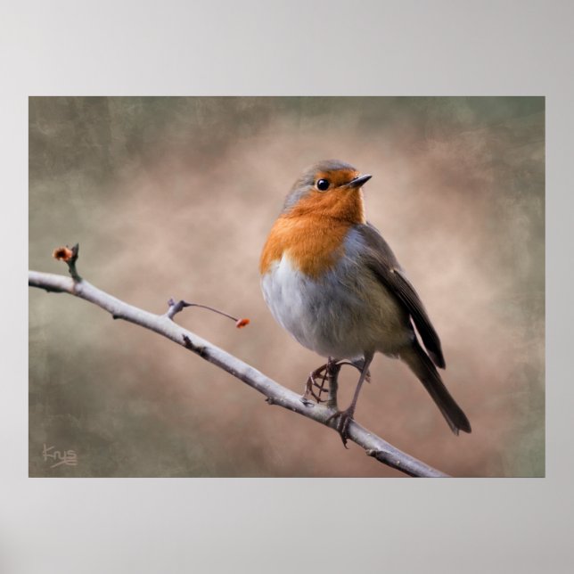 Rustic Robin Print (Front)