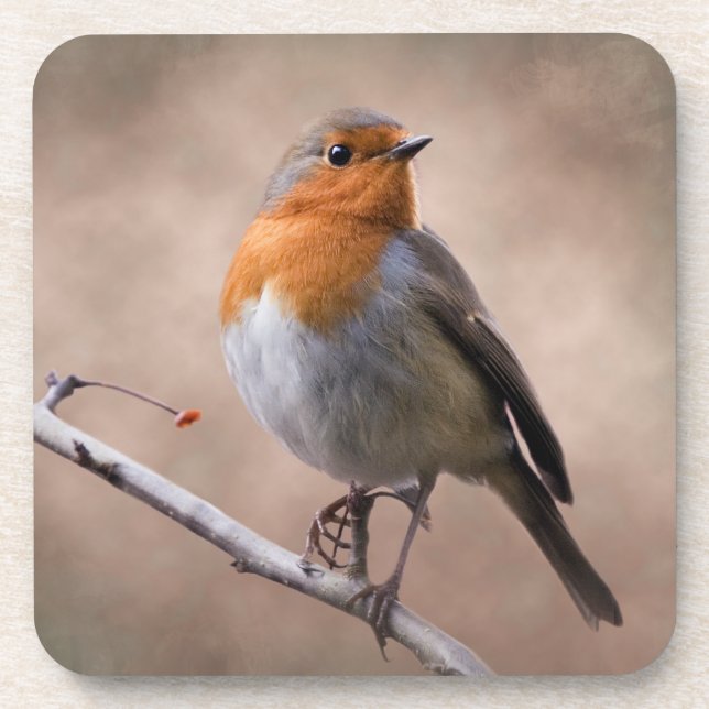 Rustic Robin Set of 6 Coasters (Front)