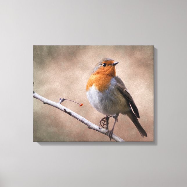 Rustic Robin Wrapped Canvas Print (Front)